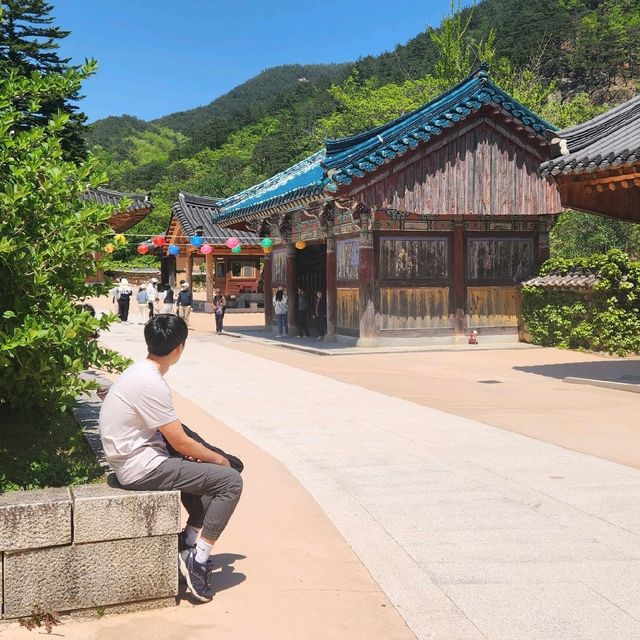 속초 설악산 신흥사에서 고즈넉한 시간을 보내기!