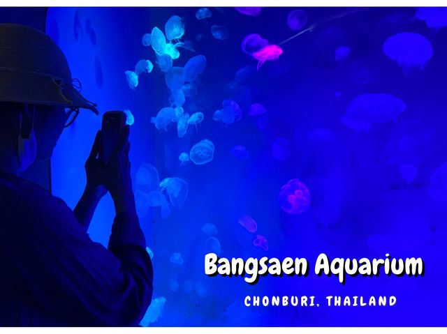 Bangsaen Aquarium 