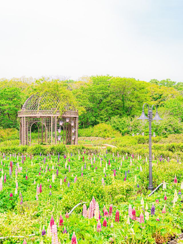 🚂제주에서 동화속으로 기차여행 가능한곳 [제주, 에코랜드]🌿