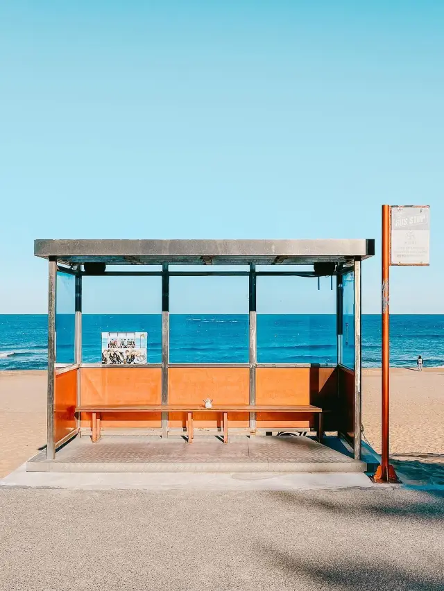 강릉 핫플 여행코스 추천🌊