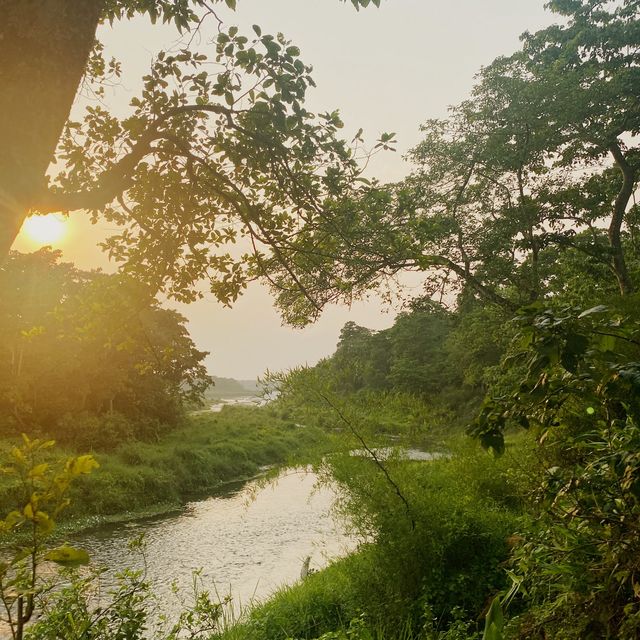 Chitwan National Park