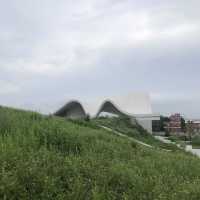望海步道草地區