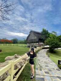 พรีโม เพียซซ่า Primo Piazza เขาใหญ่ 🌿