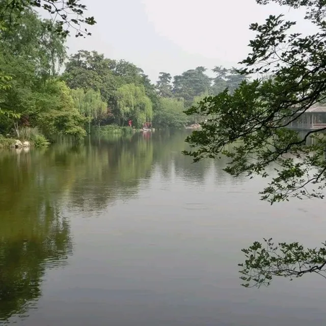 上有天堂，下有蘇杭🏞無庸置疑的人間美景🥹