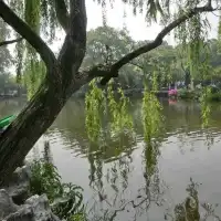 上有天堂，下有蘇杭🏞無庸置疑的人間美景🥹