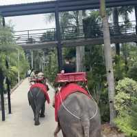 🌴 東芭樂園 | 全家歡樂必去 🎢