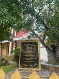 กราบหลวงปู่ดุลย์