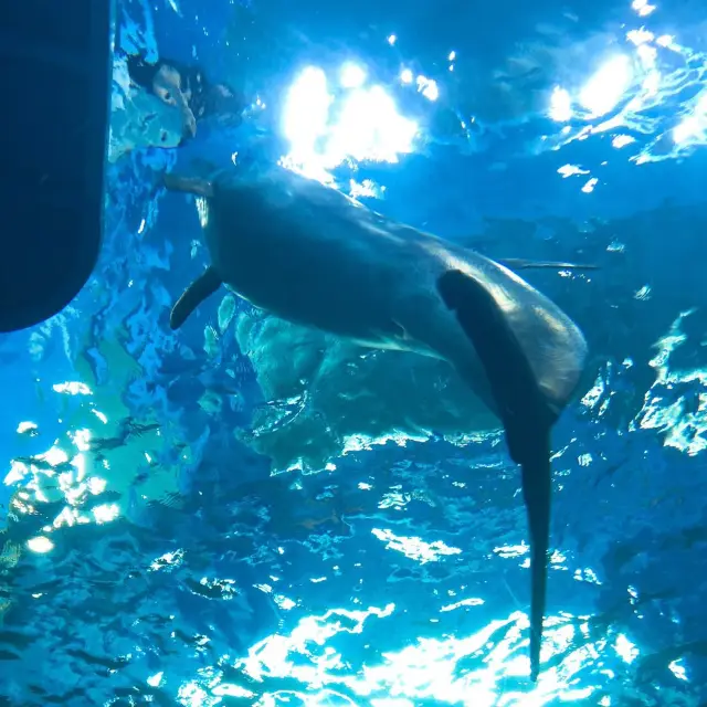 고래의 역사가 담긴, 울산 장생포 고래박물관