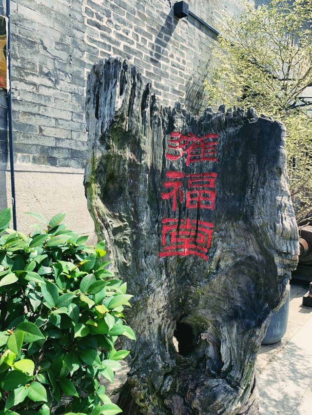 珠海｜文藝吃喝玩樂集合地•北山大院
