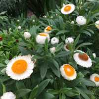 💟超級夢幻濱海花園💟