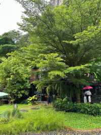 Into the forest คาเฟ่ในหุบเขา บรรยากาศดี 