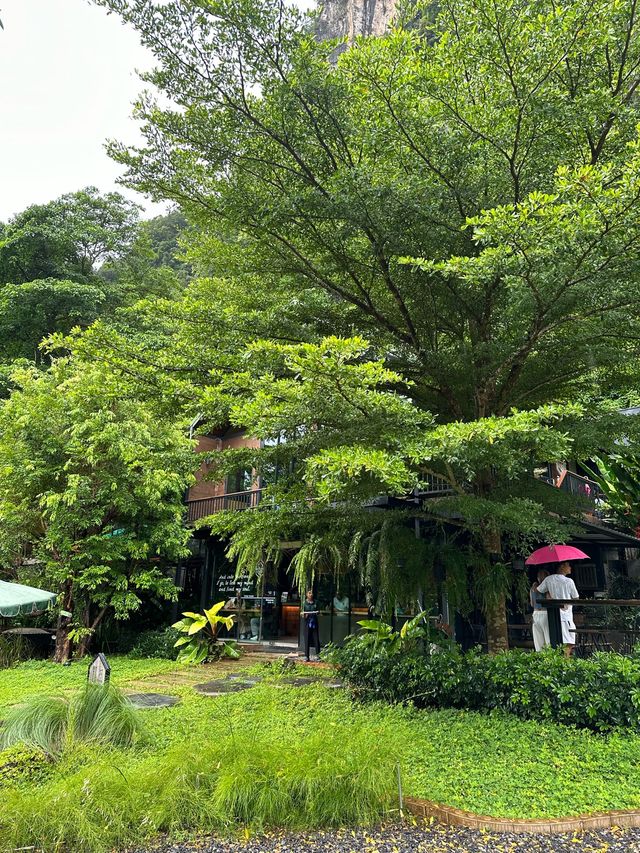 Into the forest คาเฟ่ในหุบเขา บรรยากาศดี 