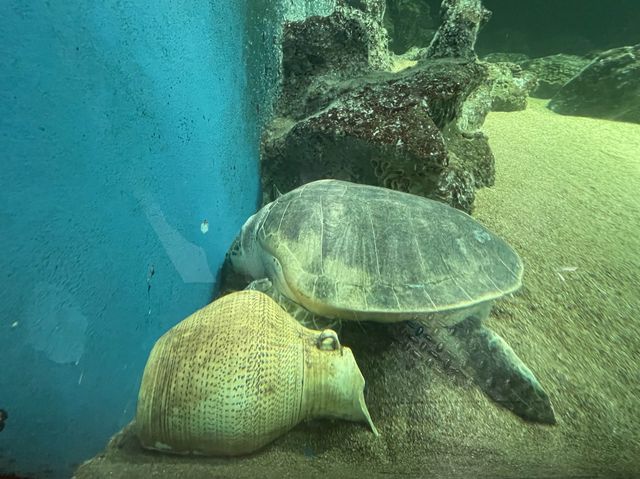 Underwater World@Langkawi