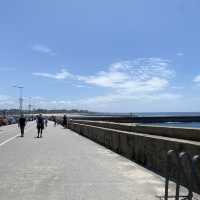 [포르토] 예쁜 공원이 가득한 포르토 해변 Passeio Alegre🏝️