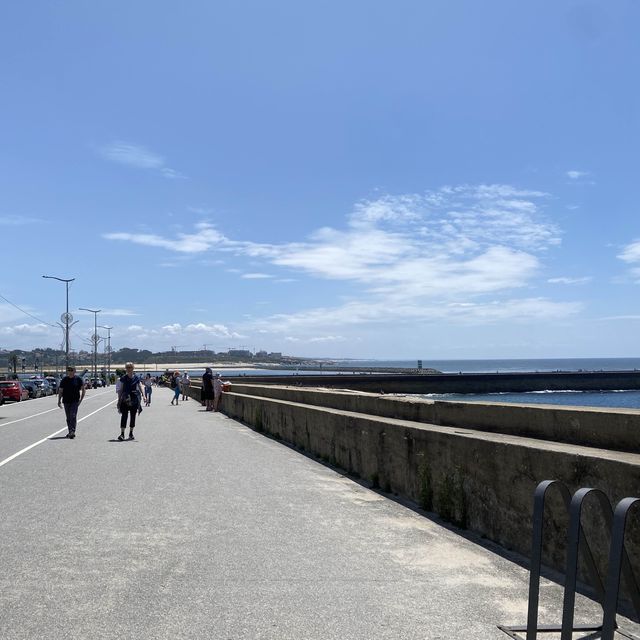 [포르토] 예쁜 공원이 가득한 포르토 해변 Passeio Alegre🏝️