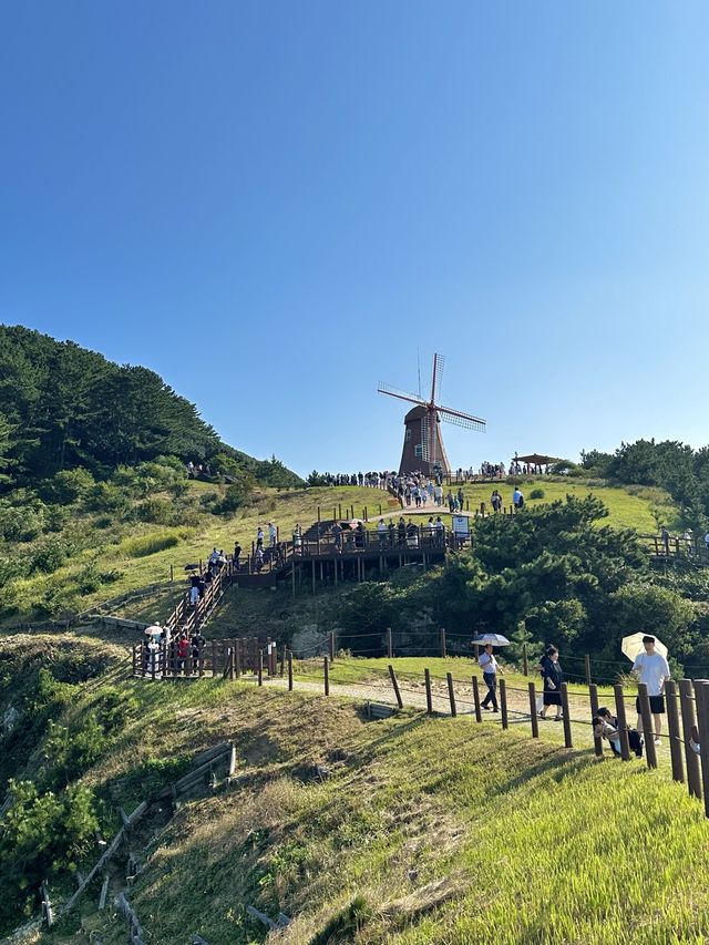 그림같은 풍경을 볼 수 있는 바람의 언덕💨🏝️