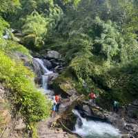 Hike Through Gandaki Forest: Nature’s Wonder 
