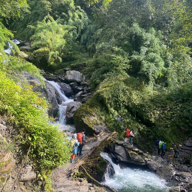 Hike Through Gandaki Forest: Nature’s Wonder 