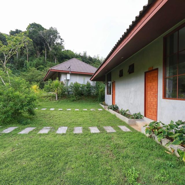 The Liveliwoods บ้านป่าร่าเริง