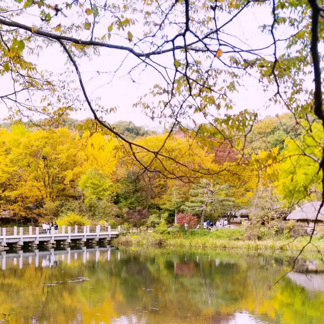 Discover amazing Autumn@ Korean Folk Village