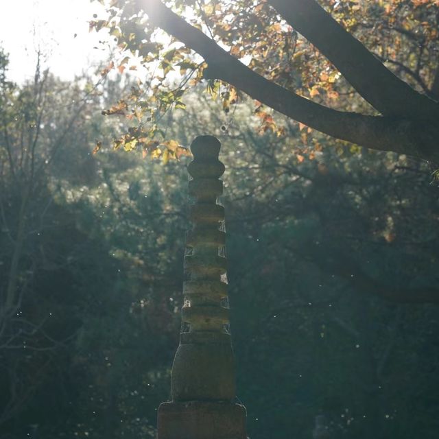 靈隱寺 🏯🙏石雕靈性🗿🌸