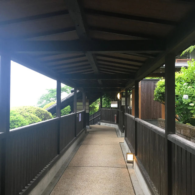奈良観光🦌　