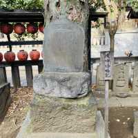 鳥居が鮮やか - 豊栄稲荷神社 -