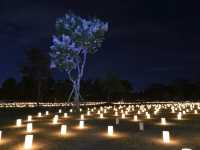 เทศกาลเทียนไขนาราโทคาเอะ Nara Tokae Festival