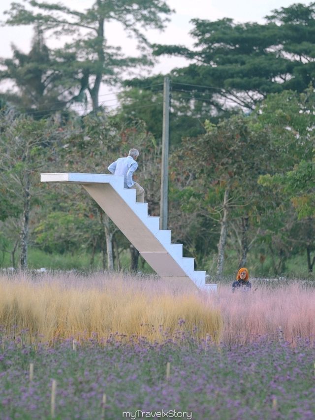 Bliss & Bloom Cafe ทับลาน