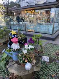 東京観光に外せないスカイツリータウン