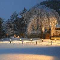 雪裡遊玩😆千光寺