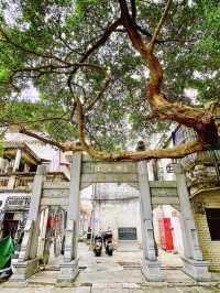 蠔鄉湖公園：深圳的都市綠洲與休閒天堂🌿