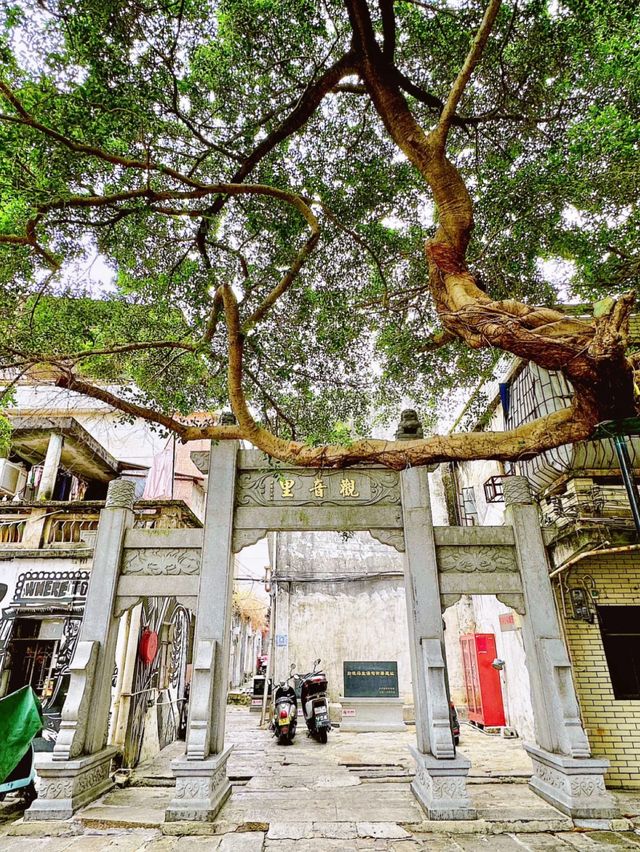 蠔鄉湖公園：深圳的都市綠洲與休閒天堂🌿