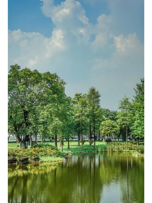 水墨園：廣州的古典園林與藝術綠洲🎨