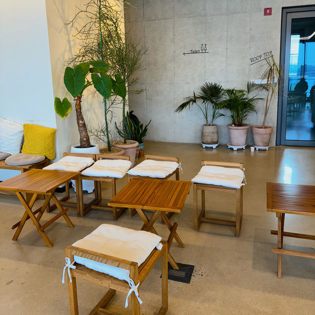 🇰🇷양양 죽도해변 오션뷰 마할로카페, 애견동반시 멍푸치노 무료!🐾☕️