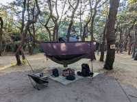 Camping in Chigasaki