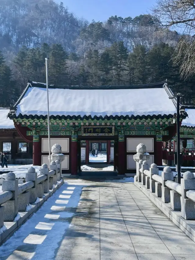 우아함과 한국의 멋을 느낄 수 있는 강원도 인제군 천년사찰 🪷 백담사