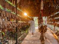 Merino Sheep Farm น้องแกะน่ารัก 