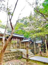 【伊古奈比咩命神社/静岡県】伊豆最古の宮と桜