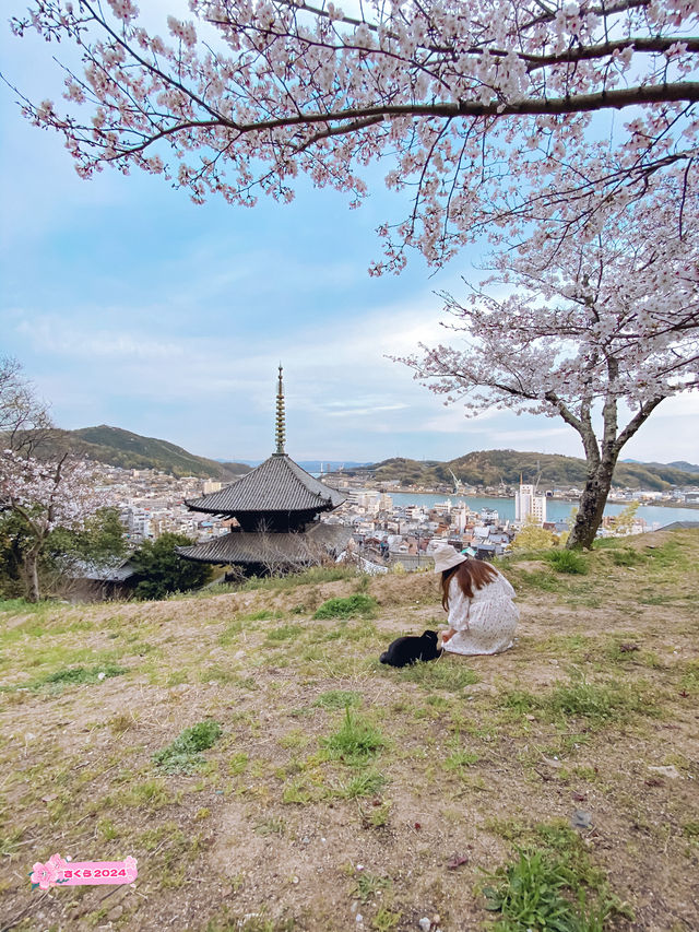【広島】尾道水道×桜の眺めが絶景すぎる千光寺公園！