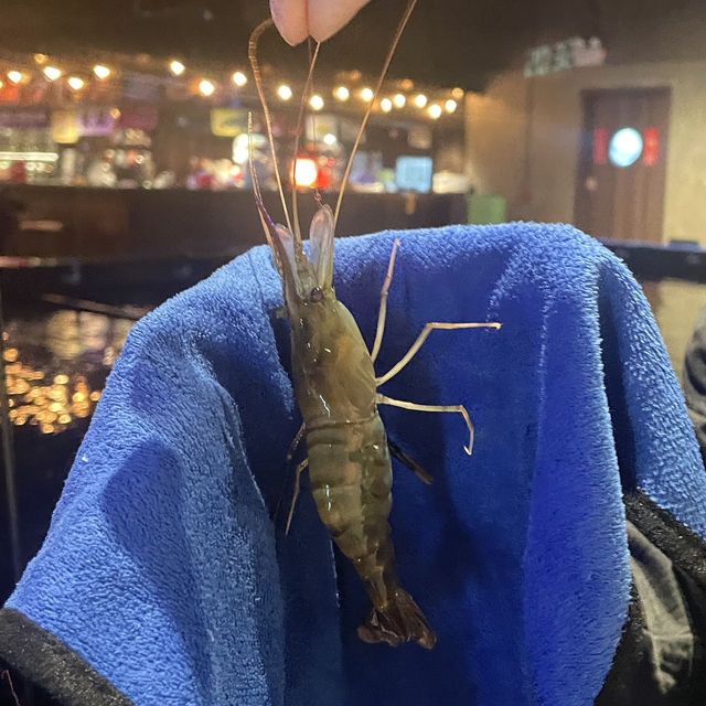 釣蝦初體驗💕高質香港室內釣蝦場🦐🦐