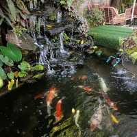 เฌอ คาเฟ่ คาเฟ่ลับในเมืองบุรีรัมย์