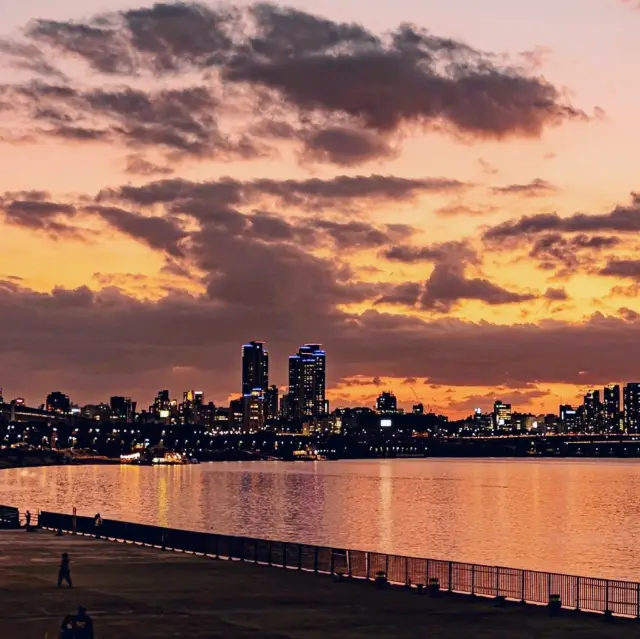 首爾漢江公園的夢想