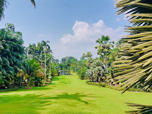 Singapore Botanic Gardens