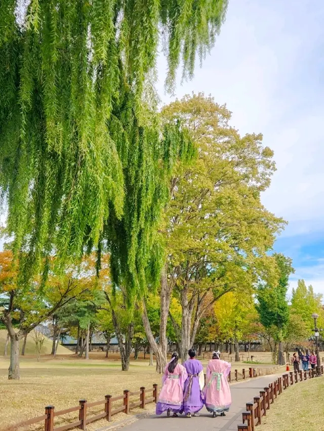 Daereungwon, a representative attraction in Gyeongju with a pond and photo spots.