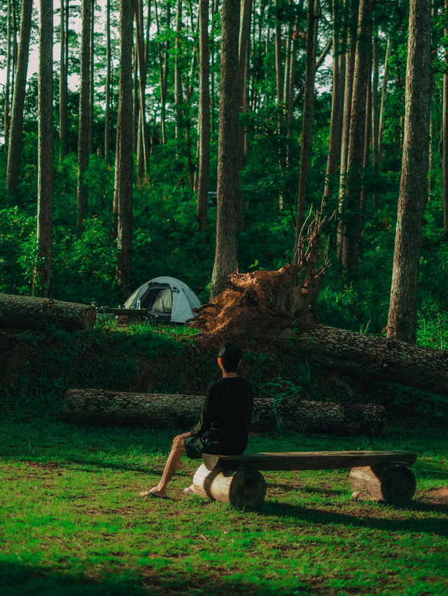 พิชิตดอยขุนตาล แบบละเอียดยิบบ 🚂⛰️