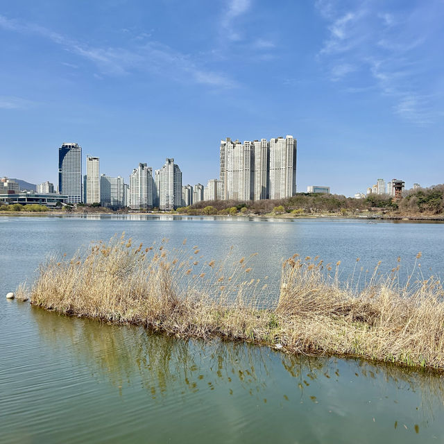 도심 속 여유로운 데이트 장소, 원천호수🍀