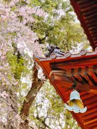 【東京】ココはどこ？まさかのスポットで七福神巡りができるパワスポ