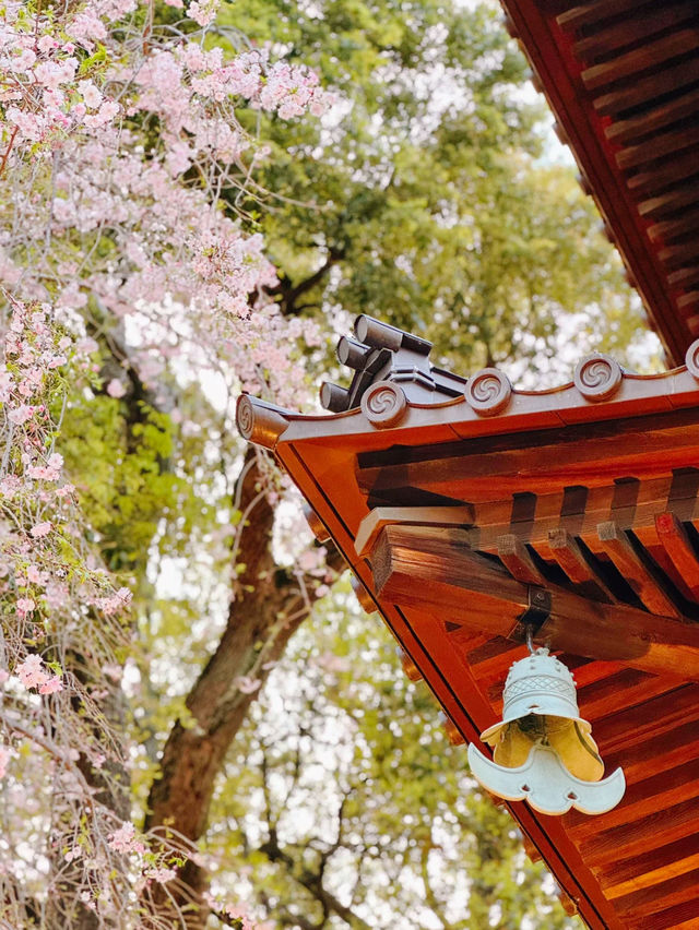 【東京】ココはどこ？まさかのスポットで七福神巡りができるパワスポ