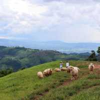 Akha Farm Ville